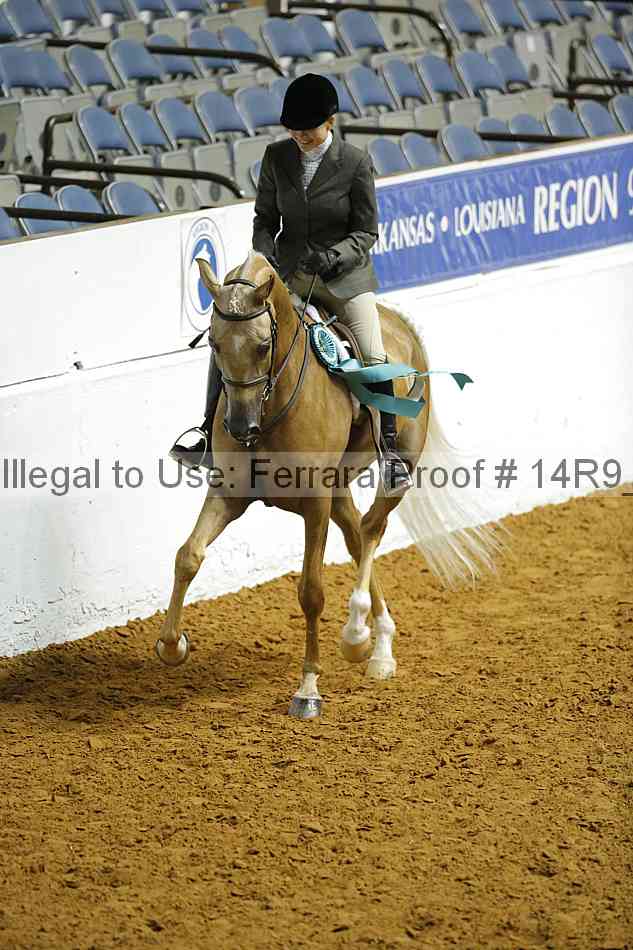 Proof 14r9_1066