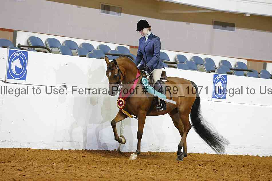 Proof 14r9_1071