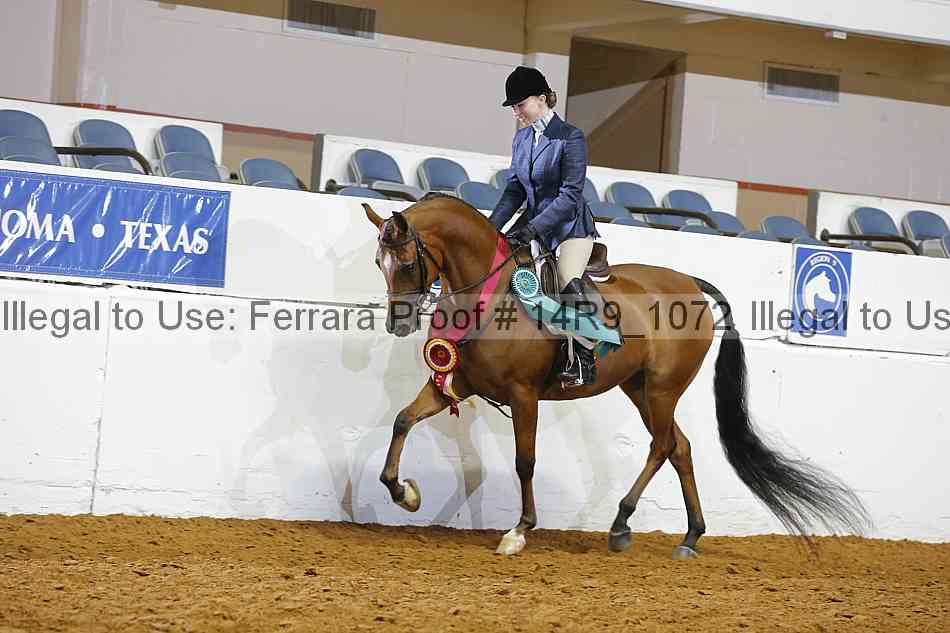 Proof 14r9_1072