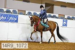 14r9_1072 proof