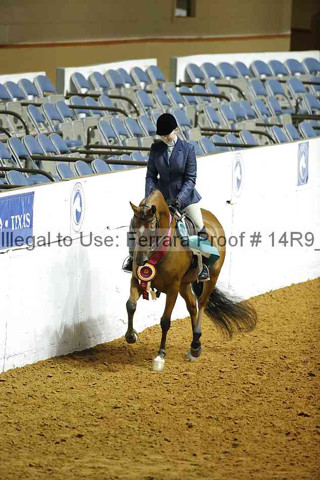 Proof 14r9_1075