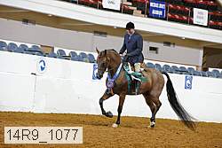 14r9_1077 proof