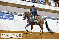 14r9_1078 proof