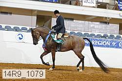 14r9_1079 proof