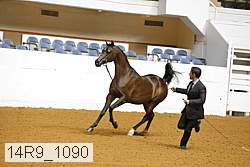 14r9_1090 proof