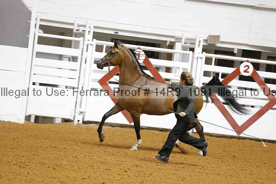 Proof 14r9_1091