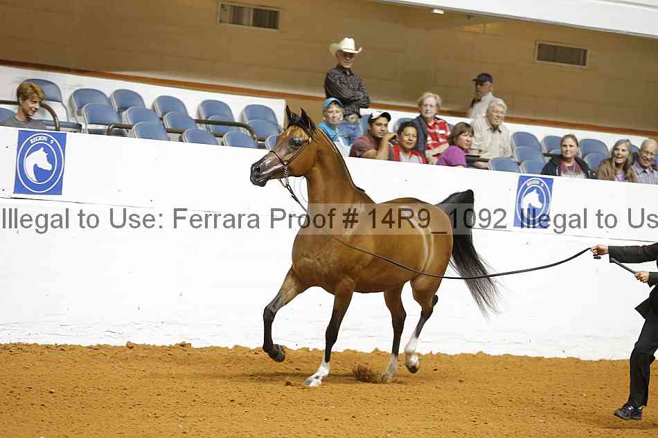 Proof 14r9_1092