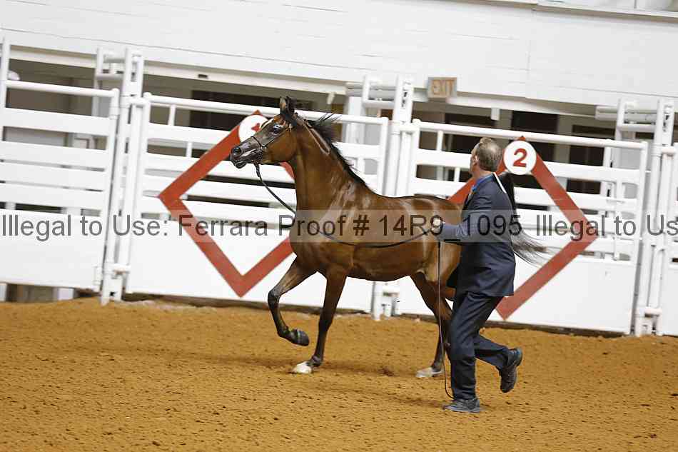 Proof 14r9_1095