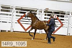 14r9_1095 proof