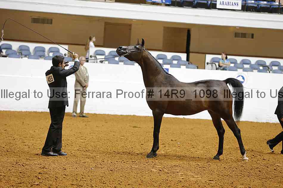 Proof 14r9_1098