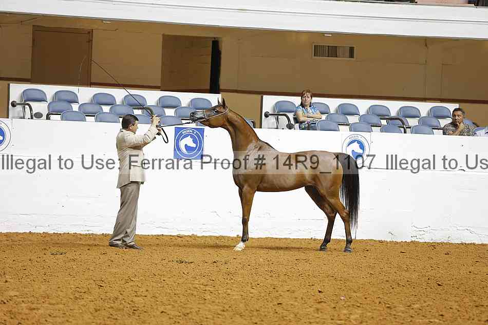 Proof 14r9_1107