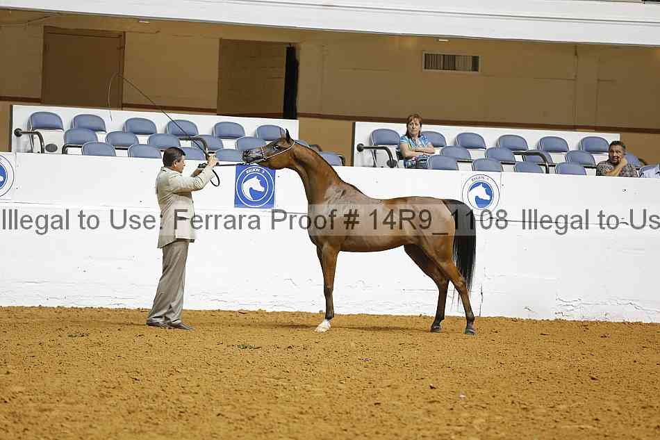 Proof 14r9_1108