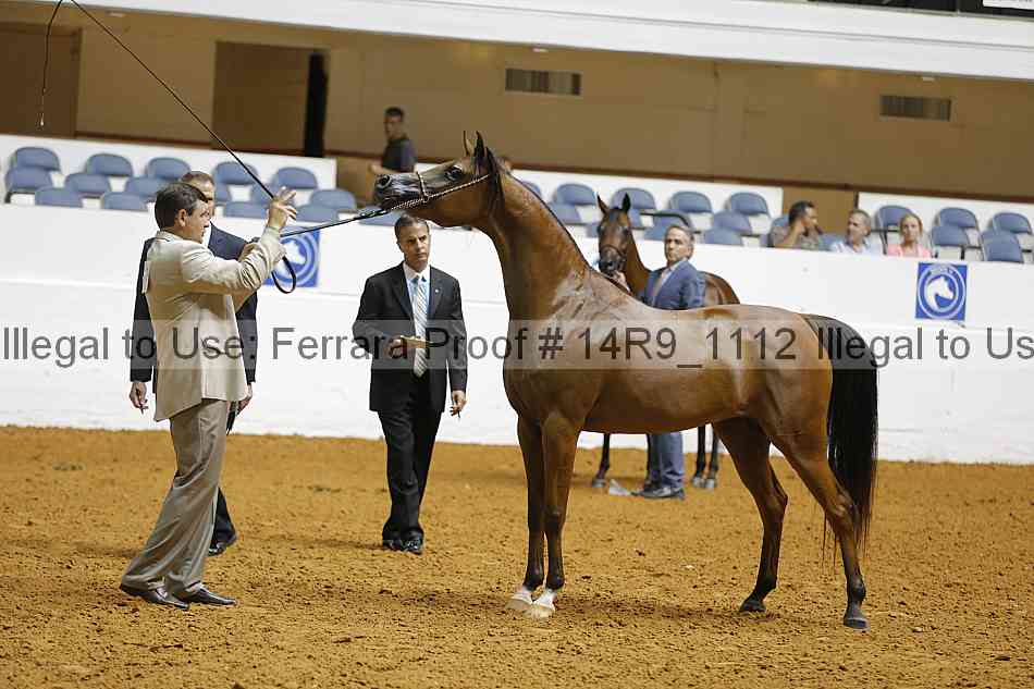 Proof 14r9_1112