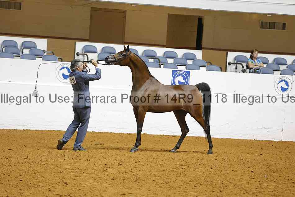 Proof 14r9_1118