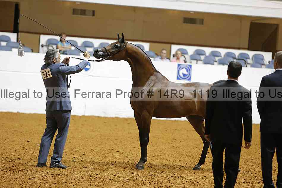Proof 14r9_1119