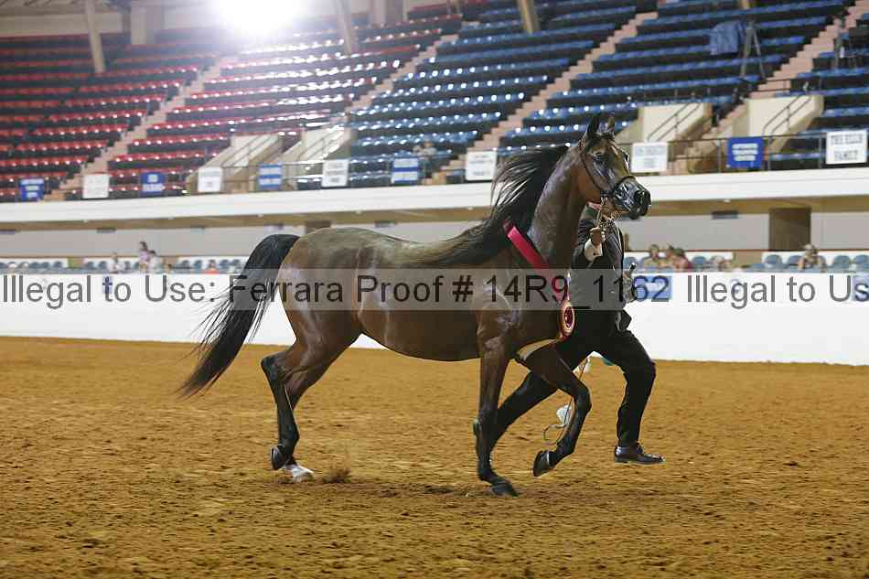 Proof 14r9_1162