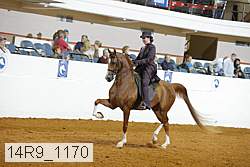 14r9_1170 proof