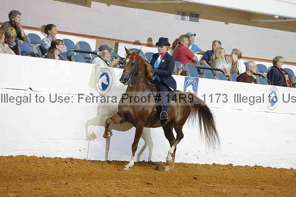 Proof 14r9_1173
