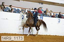 14r9_1173 proof