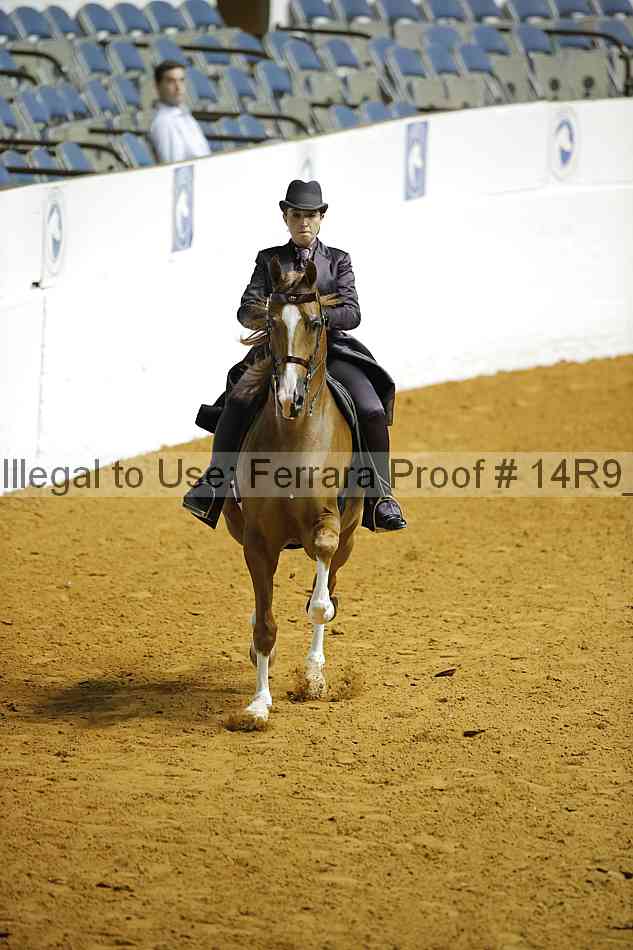 Proof 14r9_1174