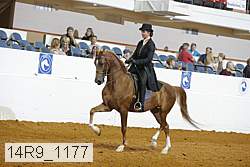 14r9_1177 proof