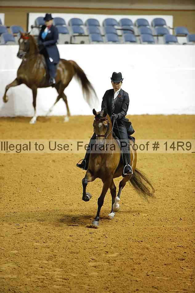 Proof 14r9_1179