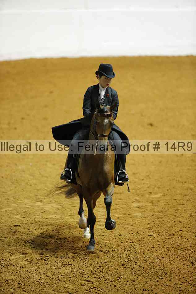 Proof 14r9_1182