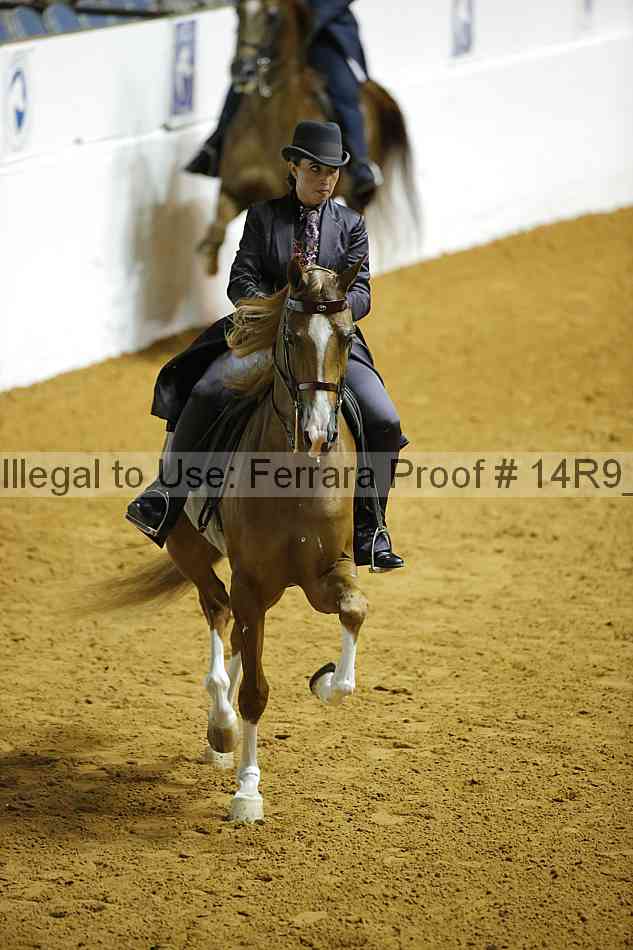 Proof 14r9_1183