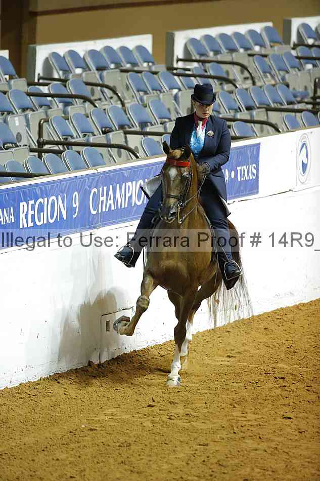 Proof 14r9_1184