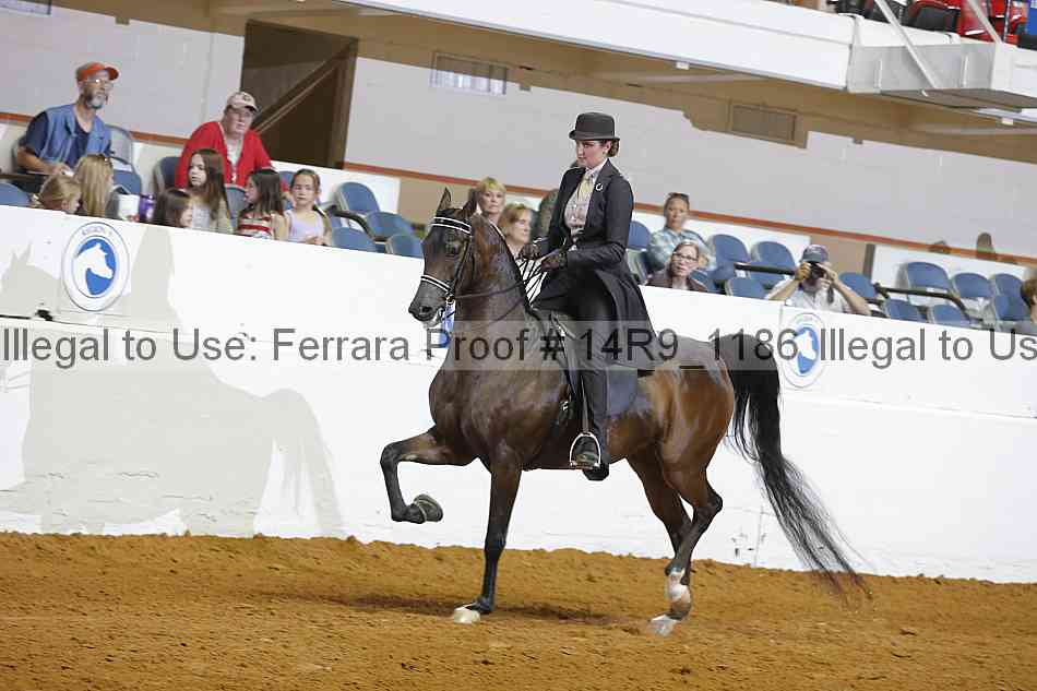 Proof 14r9_1186