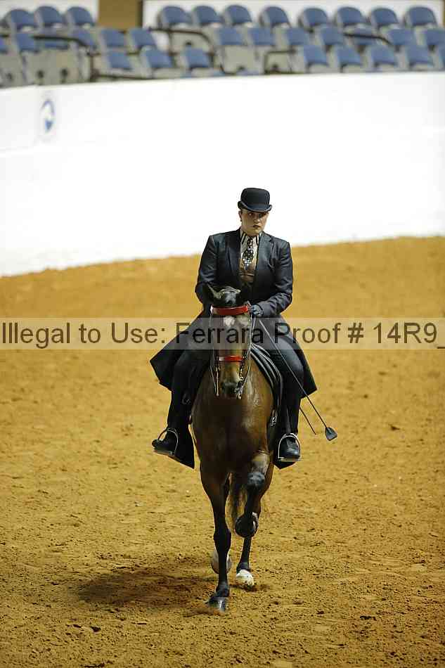 Proof 14r9_1187