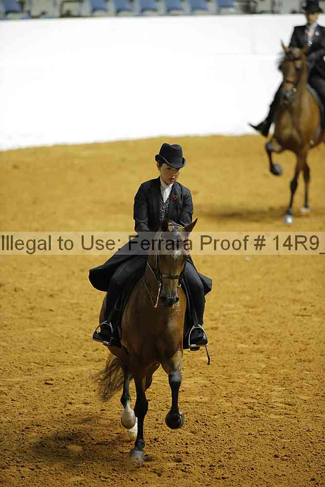 Proof 14r9_1191