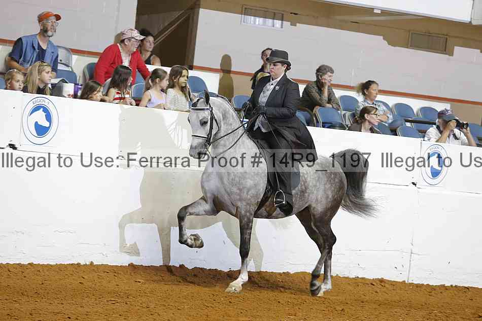 Proof 14r9_1197
