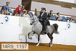 14r9_1197 proof