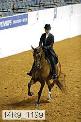 14r9_1199 proof