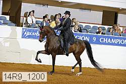 14r9_1200 proof