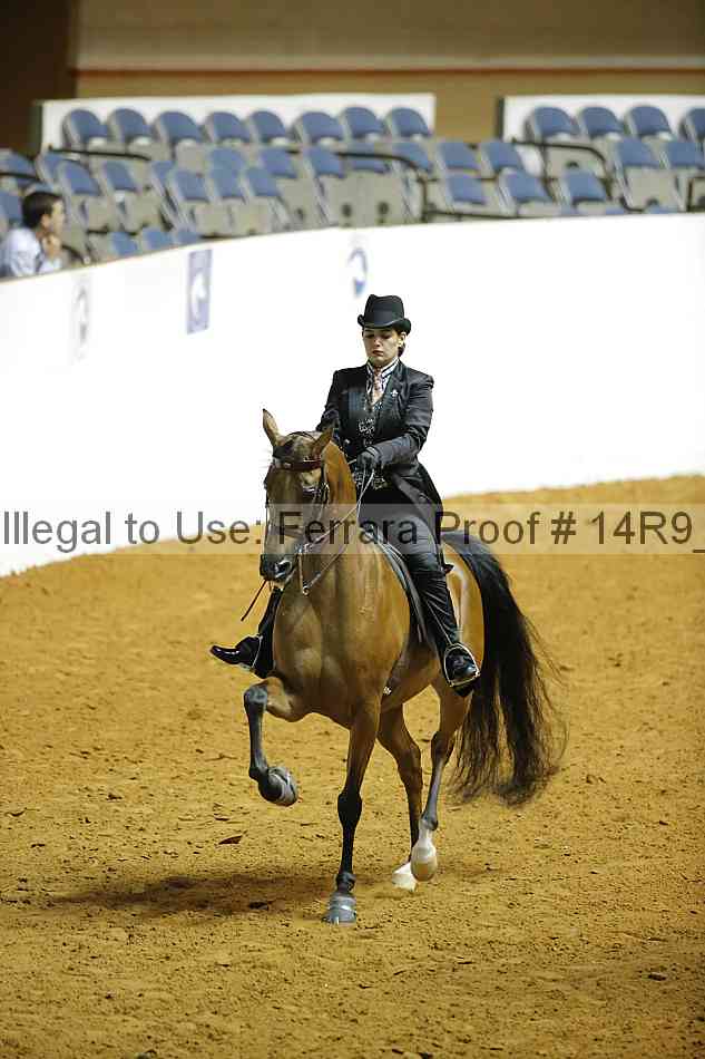 Proof 14r9_1201