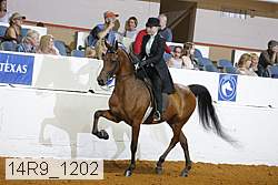 14r9_1202 proof