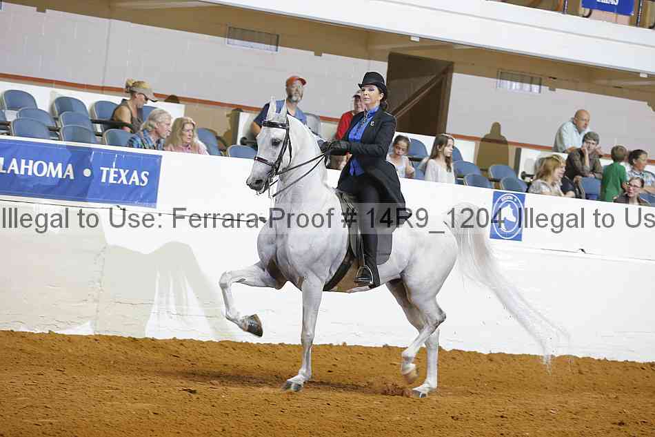 Proof 14r9_1204