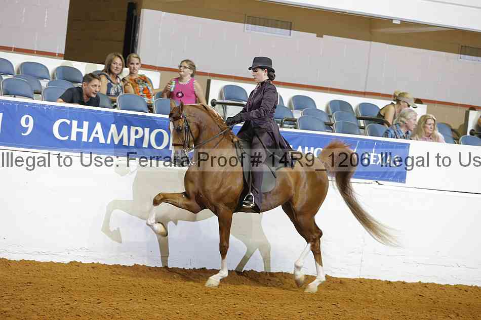 Proof 14r9_1206