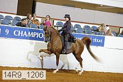 14r9_1206 proof