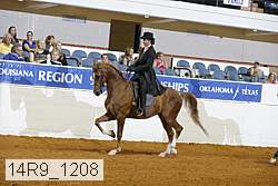 14r9_1208 proof
