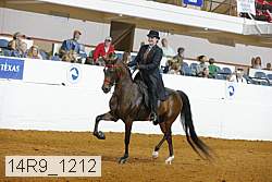 14r9_1212 proof