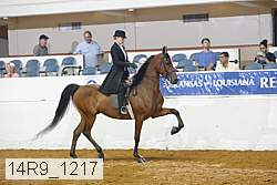 14r9_1217 proof