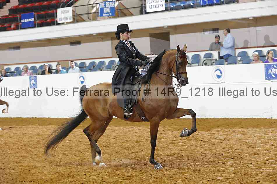 Proof 14r9_1218