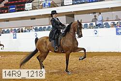 14r9_1218 proof