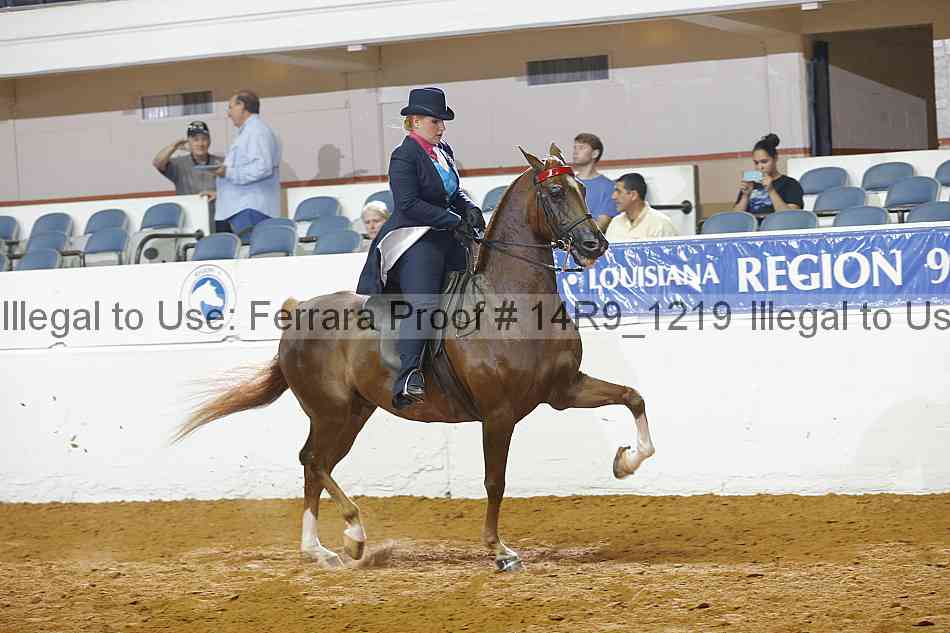Proof 14r9_1219