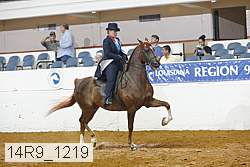 14r9_1219 proof