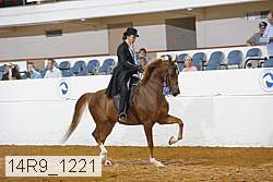 14r9_1221 proof