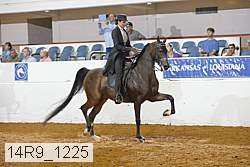 14r9_1225 proof